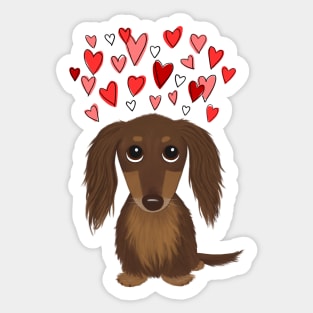 Cute Wiener Dog | Longhaired Chocolate Dachshund with Valentine Hearts Sticker